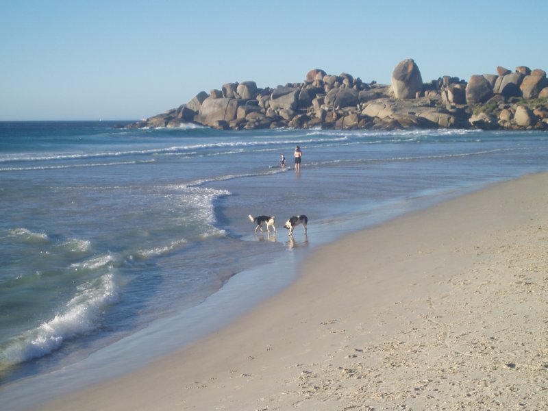 KeHa_in_South_Africa - 252